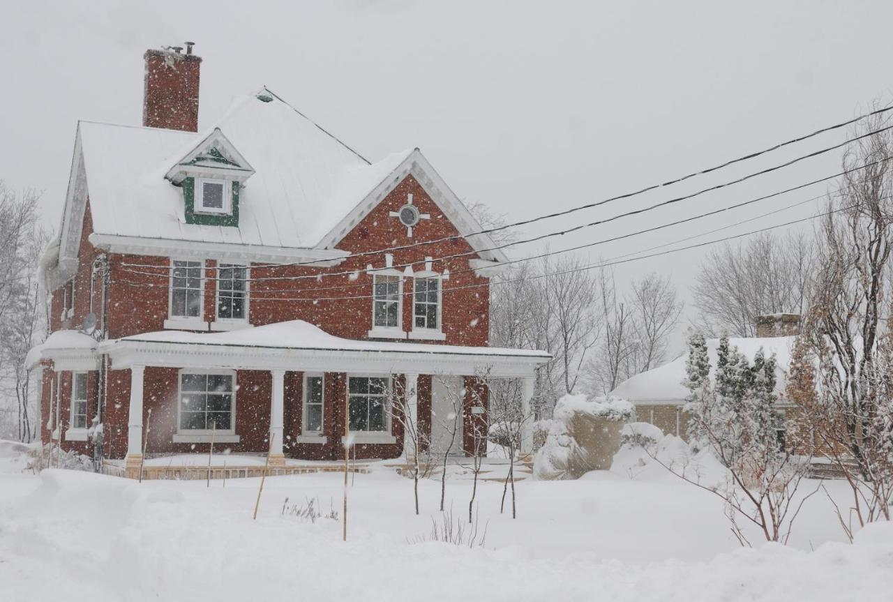 Napier House Apartment Campbellton Exterior photo